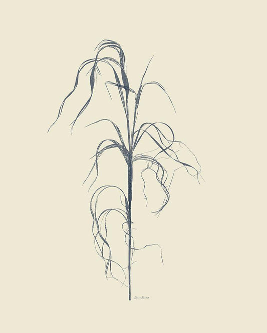 Image Only