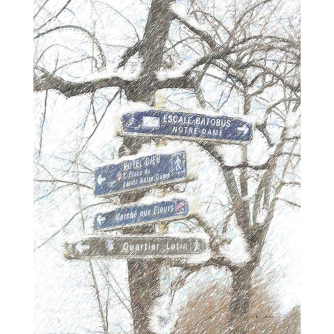 Where to Go White Modern Wood Framed Art Print by Murdock, Ramona