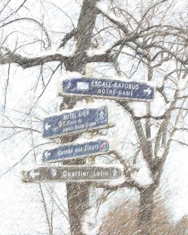 Where to Go White Modern Wood Framed Art Print with Double Matting by Murdock, Ramona