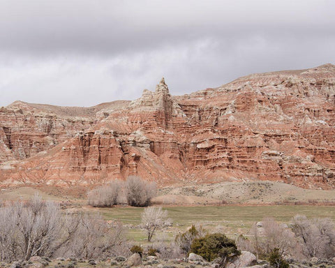 Wyoming Wilderness No. 1 Black Ornate Wood Framed Art Print with Double Matting by Murdock, Ramona