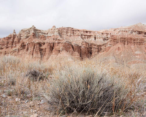 Wyoming Wilderness No. 3 White Modern Wood Framed Art Print with Double Matting by Murdock, Ramona