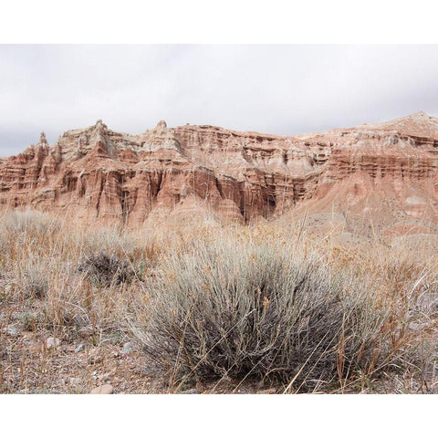 Wyoming Wilderness No. 3 Black Modern Wood Framed Art Print with Double Matting by Murdock, Ramona