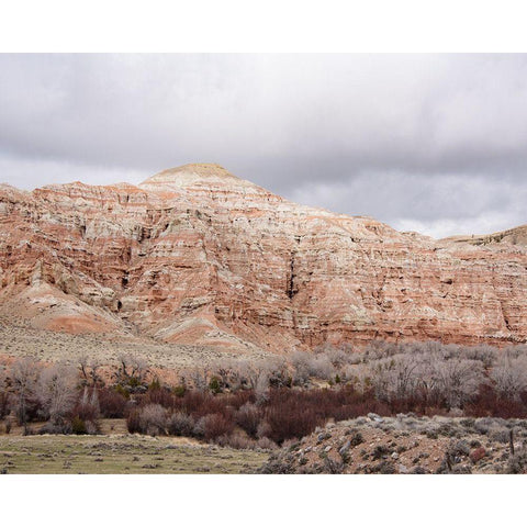 Wyoming Wilderness No. 4 Gold Ornate Wood Framed Art Print with Double Matting by Murdock, Ramona