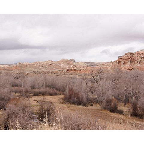 Wyoming Wilderness No. 5 Black Modern Wood Framed Art Print with Double Matting by Murdock, Ramona