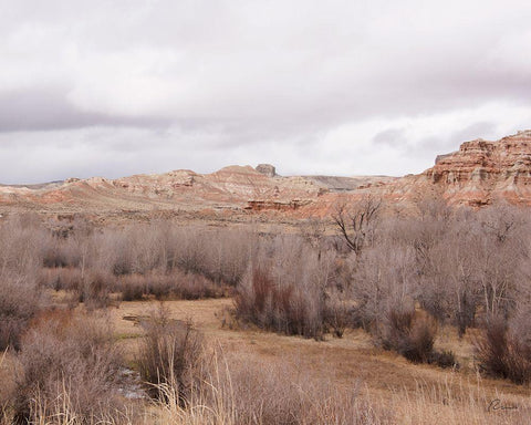 Wyoming Wilderness No. 5 Black Ornate Wood Framed Art Print with Double Matting by Murdock, Ramona