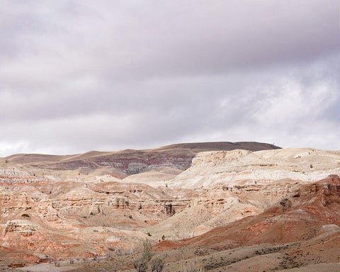 Wyoming Wilderness No. 7 Black Ornate Wood Framed Art Print with Double Matting by Murdock, Ramona