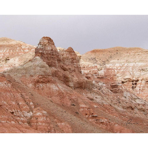 Wyoming Wilderness No. 8 Gold Ornate Wood Framed Art Print with Double Matting by Murdock, Ramona