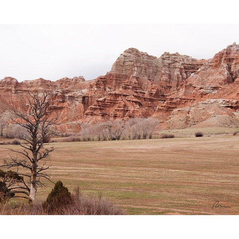 Wyoming Wilderness No. 10 White Modern Wood Framed Art Print by Murdock, Ramona