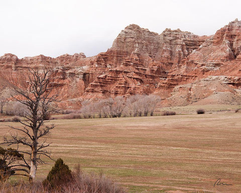 Wyoming Wilderness No. 10 Black Ornate Wood Framed Art Print with Double Matting by Murdock, Ramona