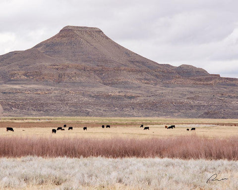 Pasture Land Black Ornate Wood Framed Art Print with Double Matting by Murdock, Ramona