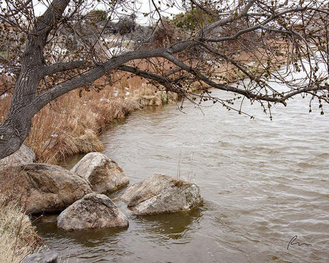 The Swimming Hole White Modern Wood Framed Art Print with Double Matting by Murdock, Ramona