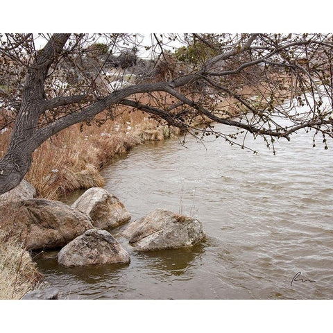 The Swimming Hole Black Modern Wood Framed Art Print by Murdock, Ramona