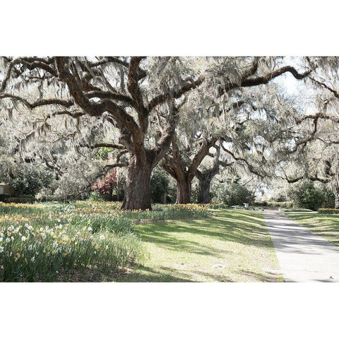 Brookgreen Garden Gold Ornate Wood Framed Art Print with Double Matting by Murdock, Ramona