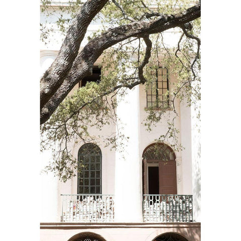 Charleston Garden Balcony Black Modern Wood Framed Art Print with Double Matting by Murdock, Ramona
