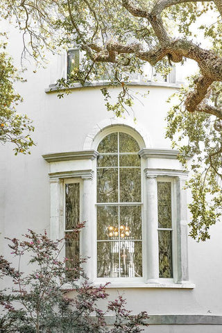 Charleston Garden Windows White Modern Wood Framed Art Print with Double Matting by Murdock, Ramona