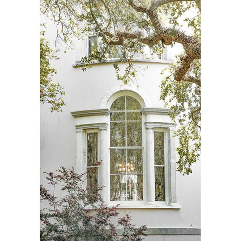 Charleston Garden Windows Black Modern Wood Framed Art Print by Murdock, Ramona