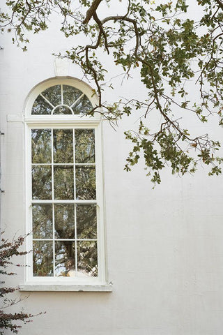 Charleston Garden Windows II Black Ornate Wood Framed Art Print with Double Matting by Murdock, Ramona