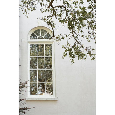 Charleston Garden Windows II Gold Ornate Wood Framed Art Print with Double Matting by Murdock, Ramona