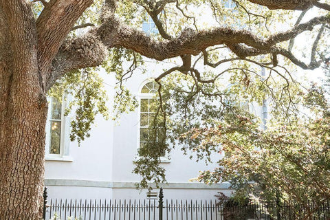 Charleston Garden Windows III White Modern Wood Framed Art Print with Double Matting by Murdock, Ramona