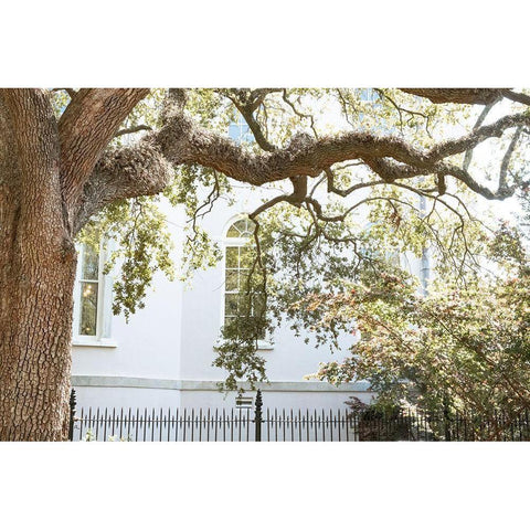 Charleston Garden Windows III Black Modern Wood Framed Art Print by Murdock, Ramona