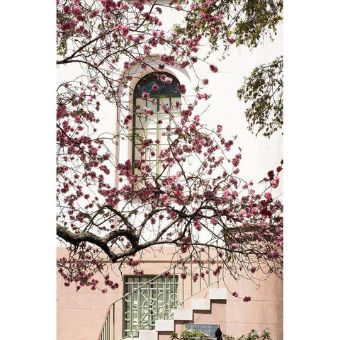 Charleston Spring Blossoms White Modern Wood Framed Art Print by Murdock, Ramona