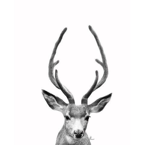 The Majestic Deer II Gold Ornate Wood Framed Art Print with Double Matting by Murdock, Ramona