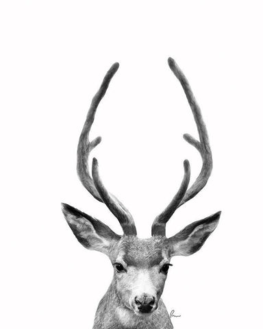 The Majestic Deer II White Modern Wood Framed Art Print with Double Matting by Murdock, Ramona