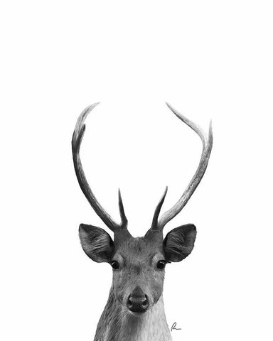 The Majestic Deer I Black Ornate Wood Framed Art Print with Double Matting by Murdock, Ramona