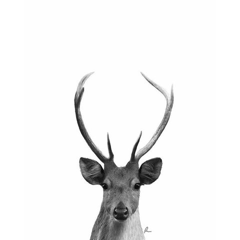 The Majestic Deer I Gold Ornate Wood Framed Art Print with Double Matting by Murdock, Ramona