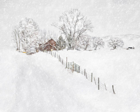 Winter Wonderland I Black Ornate Wood Framed Art Print with Double Matting by Murdock, Ramona