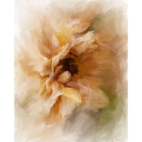 Sun Flower Black Modern Wood Framed Art Print with Double Matting by Murdock, Ramona