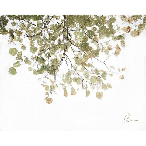 Aspen Leaves Black Modern Wood Framed Art Print with Double Matting by Murdock, Ramona