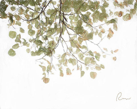 Aspen Leaves White Modern Wood Framed Art Print with Double Matting by Murdock, Ramona