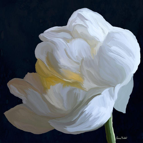 Drama Queen III Black Modern Wood Framed Art Print with Double Matting by Murdock, Ramona