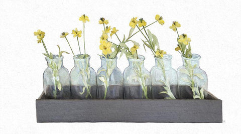 Box of Daisies White Modern Wood Framed Art Print with Double Matting by Murdock, Ramona