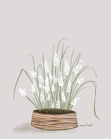 Solarium Plant III Black Ornate Wood Framed Art Print with Double Matting by Murdock, Ramona