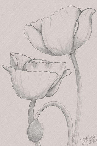 Elegant Poppies White Modern Wood Framed Art Print with Double Matting by Dicks, Stephanie