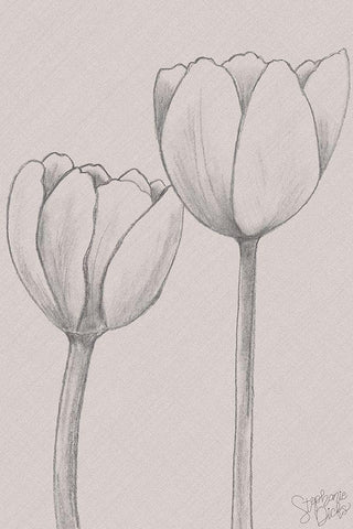 Elegant Tulips White Modern Wood Framed Art Print with Double Matting by Dicks, Stephanie