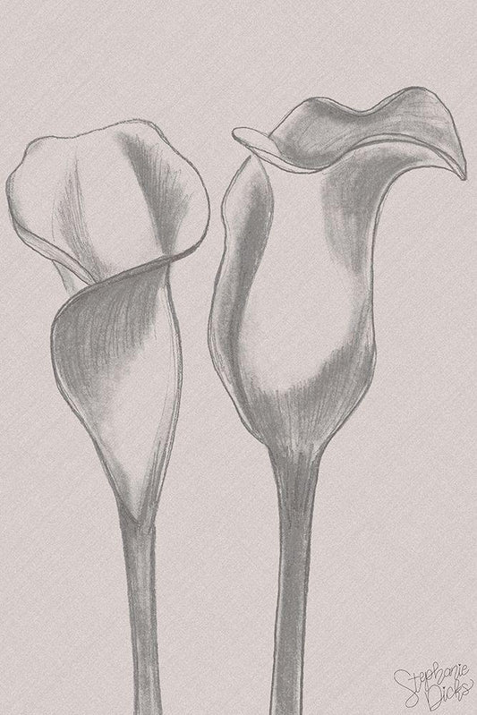 Image Only