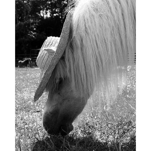 Mini Horse III White Modern Wood Framed Art Print by Dicks, Stephanie