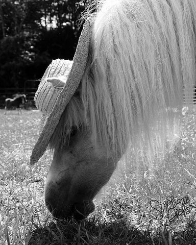 Mini Horse III White Modern Wood Framed Art Print with Double Matting by Dicks, Stephanie