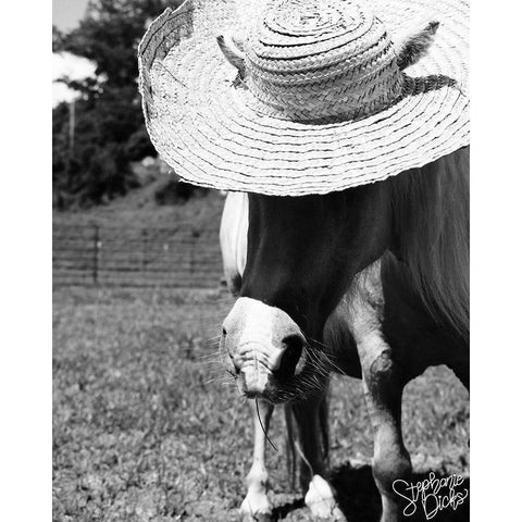 Mini Horse IV Black Modern Wood Framed Art Print with Double Matting by Dicks, Stephanie