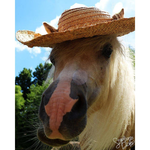 Mini Horse V White Modern Wood Framed Art Print by Dicks, Stephanie