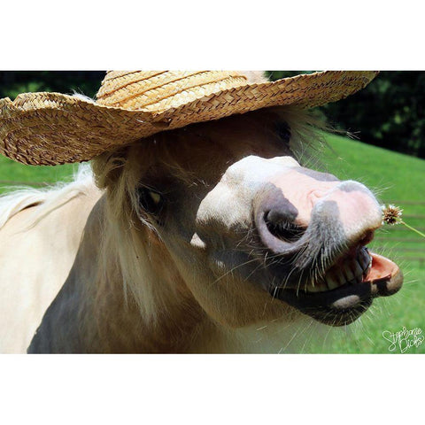 Mini Horse VI Gold Ornate Wood Framed Art Print with Double Matting by Dicks, Stephanie