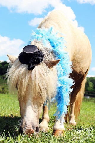 Mini Horse VII Black Ornate Wood Framed Art Print with Double Matting by Dicks, Stephanie