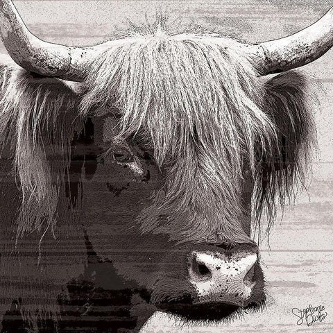 Longhorn II Black Ornate Wood Framed Art Print with Double Matting by Dicks, Stephanie