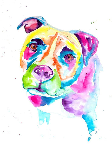 Colorful Pitbull Black Ornate Wood Framed Art Print with Double Matting by Seeley, Jenn