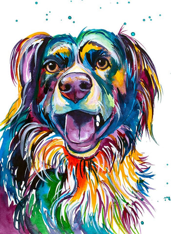 Kato the Australian Shepherd Black Ornate Wood Framed Art Print with Double Matting by Seeley, Jenn