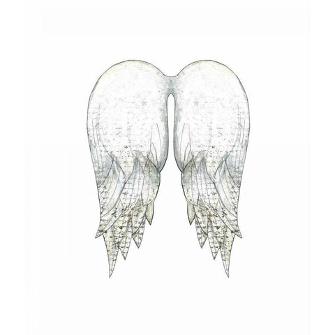 White Angel Wings White Modern Wood Framed Art Print by Ogren, Sarah