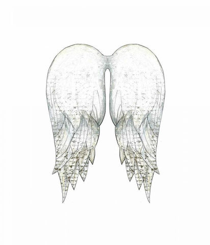 White Angel Wings White Modern Wood Framed Art Print with Double Matting by Ogren, Sarah